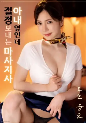 一级电影白鹭洲海报